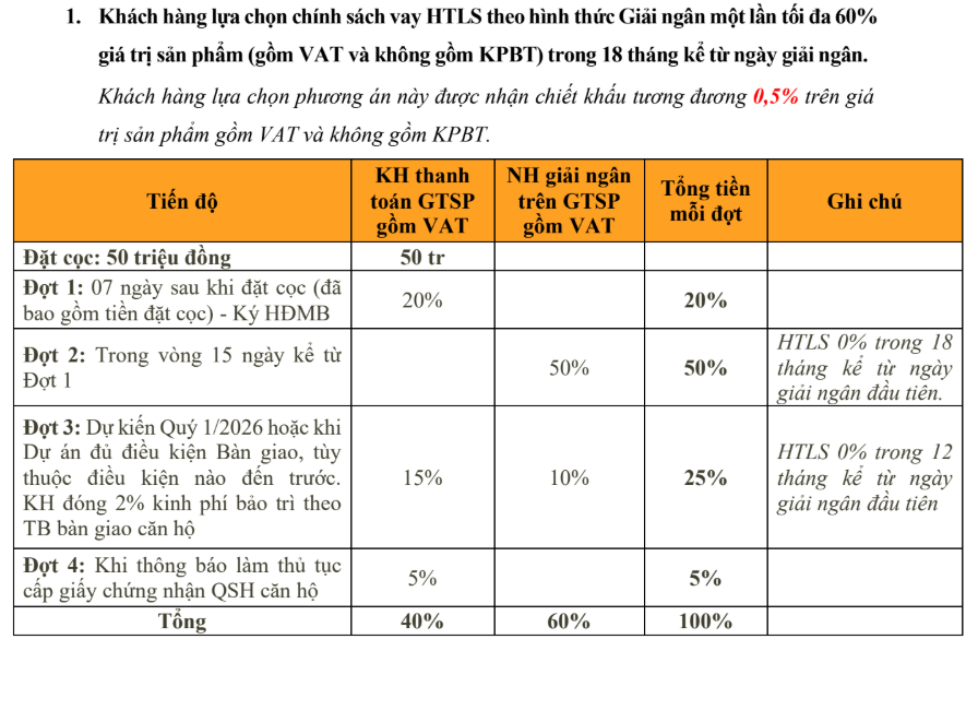 Chính sách vay HTLS của dự án Ben Hill