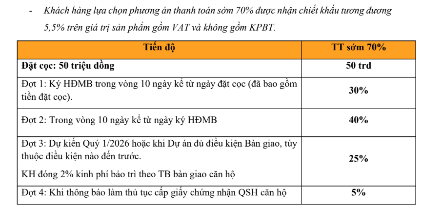 Chính sách thanh toán sớm chung cư Ben Hill